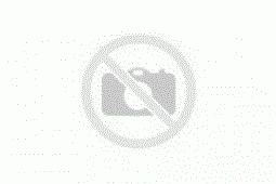 BSTPL GPS tracker