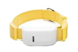 NT202 GPS tracker