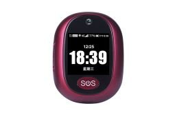 RF-V45 GPS tracker