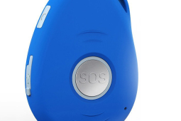 VisionOneGPS V1G-PT3G GPS tracker