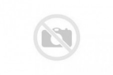 Enfora GSM2338 GSM2448 GPS tracking device