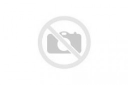 GpsGate Client GPS tracking device